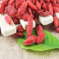 100% High quality Goji Berry extract / Wolfberry extract